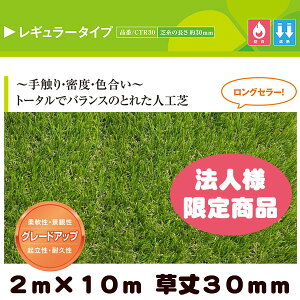 y@ll菤izAlH N[o[^[t M[^Cv O[ 2m×10m 30mm ( vdl hK ՔMf )