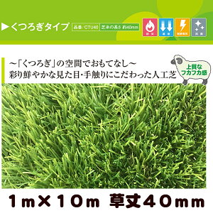 AlH N[o[^[t 났^Cv 1m×10m 40mm ( vdl hK ՔMf ϐÓdCf Rېz )