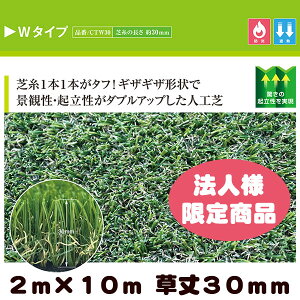 _{Gg[P2{^ y@ll菤izAlH N[o[^[t W^Cv 2m×10m 30mm ( vdl hK ՔMf )