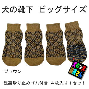 _{ŏI!500~It+P6{^ pC rbOTCY hbO\bNX ~߃St ( ^ ^TCY ) y  z  ̕