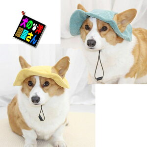 _{200~It+P2{^ p ̂ybgLbv XqyzLp ybgpANZT[ ` gCv[h Č ~j`A_bNX