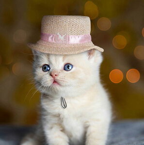 犬用 猫用 麦わら帽子 ピンクリボン S【送料無料】ストローハット カンカン帽 ペット用アクセサリー チワワ トイプードル 柴犬 ミニチュアダックス