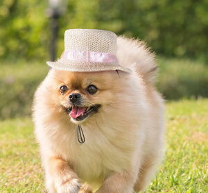 _{200~It+P2{^ p Lp Xq sN{ MyzXg[nbg JJX ybgpANZT[ ` gCv[h Č ~j`A_bNX