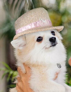 c2200~It+P2{^ p Lp Xq sN{ LyzXg[nbg JJX ybgpANZT[ ` gCv[h Č ~j`A_bNX