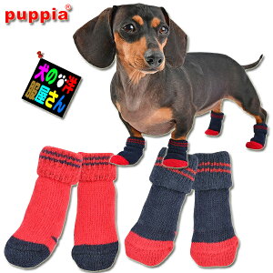 pC PUPPIA hbO\bNX DYLAN fB 41Zbg ~߃Sti^ ^p S M LTCYjyz ̕ psA