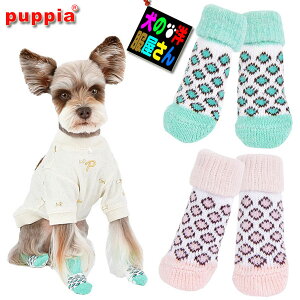 pC PUPPIA hbO\bNX LEONE I[l 41Zbg ~߃Sti^ ^p S M LTCYjyz ̕ psA