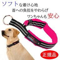 犬 首輪 ハーフチョーク コンフォートフレックス リミテッドスリップカラー 【ネオンピンク】 小型犬 中…