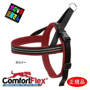 _ubNtCf[777~OFF+P2{^  n[lX RtH[gtbNX X|[cn[lX / SȂ 킢  ` gCv[h ~j`A_bNX Č uh[