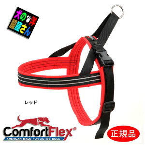 _ubNtCf[777~OFF+P2{^  n[lX RtH[gtbNX X|[cn[lX / SȂ 킢  ` gCv[h ~j`A_bNX Č uh[