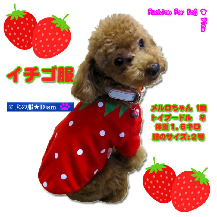 楽天市場】【本日P2倍+600円OFF】 犬服 イチゴ服（超小型犬・小型犬 