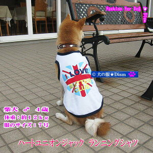 n[gjIWbNEjOVci^j ` gCv[h ~j`A_bNX