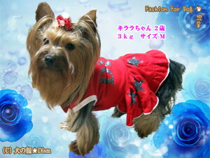 _{ŏI!500~It+P6{^  s[XDIVAi^jhX XJ[g