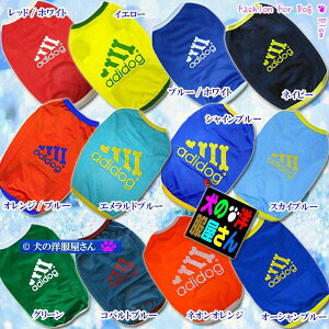 _c2!500~It+P3{^  bV^Ngbv ( ^p )