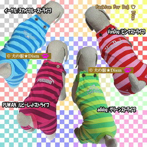 _{ŏI!500~It+P6{^  X|[eBp[Xi^jpc Y{ ciM pfB