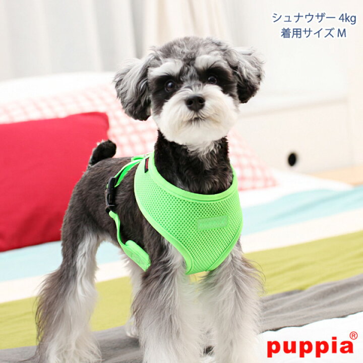 楽天市場】犬用 PUPPIA ソフトエアーメッシュハーネス ネオンカラー(超小型犬 小型犬用)【メール便可能】パピア ソフトハーネス 胴輪 チワワ トイプードル シーズー ミニチュアダックス シュナウザー ポメラニアン パグ フレブル等 サイズXS S M L : 犬の洋服屋さん ... 楽天市場】犬用 PUPPIA ソフトエアーメッシュハーネス ネオンカラー(超小型犬 小型犬用)【メール便可能】パピア ソフトハーネス 胴輪 チワワ トイプードル シーズー ミニチュアダックス シュナウザー ポメラニアン パグ フレブル等 サイズXS S M L : 犬の洋服屋さん ...