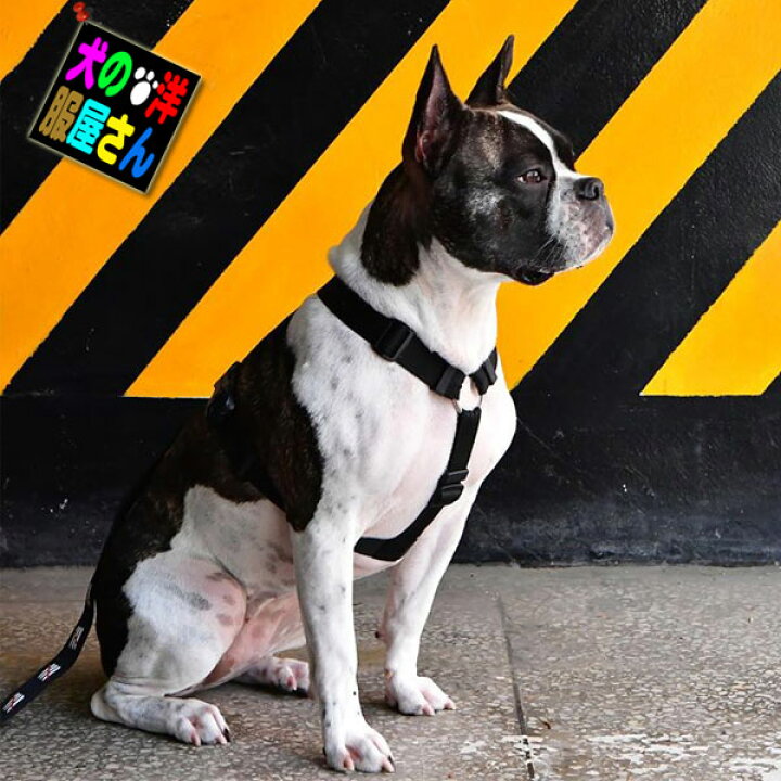 犬用ハーネス ドッグトリン UEハーネス Sサイズ(小型犬用)メール便可能 DOGTRINE チワワ トイプードル シーズー ミニチュア ダックス シュナウザー ポメラニアン パグ フレンチブルドッグ ボストンテリア ヨークシャテリア マルチーズ等 犬の洋服屋さん ... ボクサーパンツ わんこ フレブル ダックス L 2枚