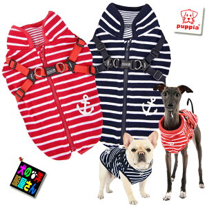 _{ŏI!500~It+P6{^  PUPPIA n[lX̌^}xXg NV[ SAMALTCY ( ^p ) psA ` C^AO[nEh gCv[h ~j`A_bNX