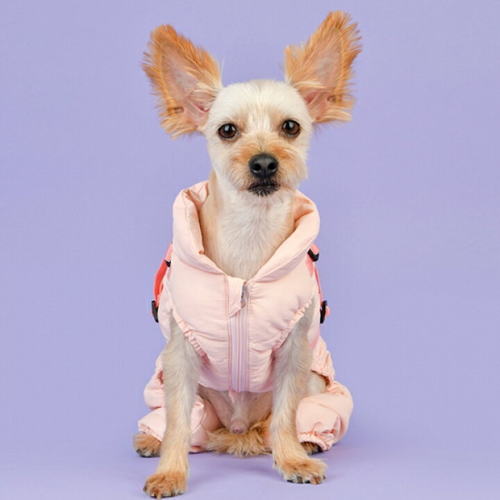 楽天市場 犬服 Puppia ハーネス一体型コットンパディングジャンプスーツ S M Lサイズ 小型犬用 つなぎ ロンパース 防寒着 秋冬服 パピア チワワ トイプードル マルチーズ イタグレ ミニチュアダックス シュナウザー ヨークシャテリア ポメラニアン パグ シーズー