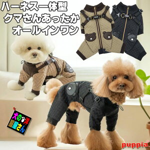 _{P2{^  PUPPIA n[lX̌^ N}񂠂I[C L / H~ h psA ` gCv[h ~j`A_bNX Č R[M[