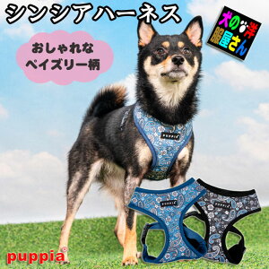 _Gg[P3{^ 2025NV  n[lX psA VVAn[lX SȂ 킢  S M L XL PUPPIA ₷  ` gCv[h ~j`A_bNX Č V[Y