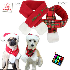 _{ӍPAbv+500~It^ p PUPPIA T^}t[ S M LTCYyzpsA NX}X ` gCv[h ~j`A_bNX