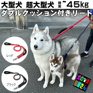 _{ӍPAbv+500~It^ yyVLO܁z ^ ^ [h  ˍޓ _uNbVt[h / ^ Č S[fgo[ uh[go[ V