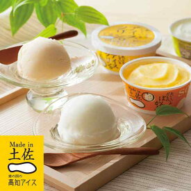＼毎月18日はご愛顧感謝デー／高知アイス ギフト セット 115ml 10個 アイスクリーム シャーベット 詰め合わせ 高級 贈答 お取り寄せ スイーツ 土佐 ゆず 文旦 ぽんかん フルーツ 柑橘 果汁 土産 御中元 御歳暮 内祝い 贈り物 プレゼント
