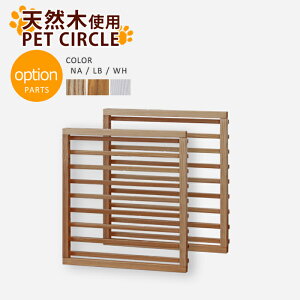 pQ[W Ƌ񂪍VR؂̃CeAP[W vXpIvVǉii` _[NuE zCg STCYʁj