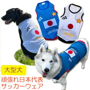 _X[p[SALEi^  JAPAN bV^Ngbv ( ^p )y z TbJ[EFA jtH[ S[fgo[ uh[go[