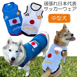 _X[p[SALEi^ yyVLO1ʁz JAPAN bV^Ngbv ( ^p ) {\ Wp TbJ[EFA jtH[ Č R[M[ ̊ tĕ