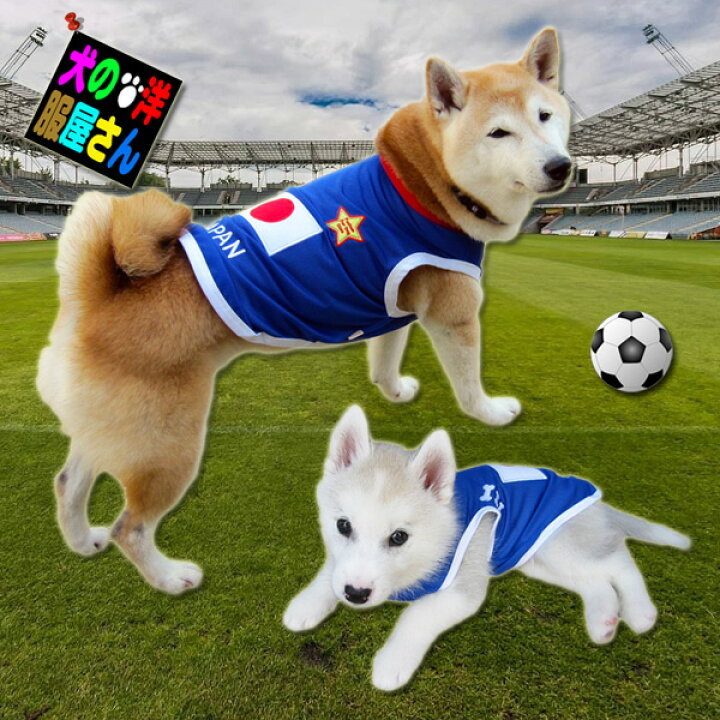 楽天市場 犬服 Japanメッシュタンクトップ 中型犬用 犬の服２点購入でメール便送料無料 日本代表 ジャパン サッカーウェア ドッグウェア 柴犬 コーギー イタグレ スピッツ キャバリア ビーグル シェルティ ボーダーコリー ダルメシアン シベリアンハスキー バグ等