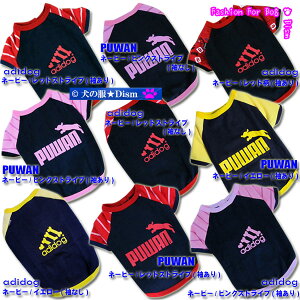 _Gg[P3{^  PUWAN g[i[ fJSo[W ( ^ Lp ) h N LbgEFA ` gCv[h ~j`A_bNX