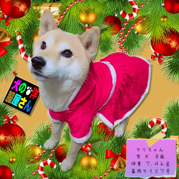 楽天市場 犬服 サンタワンピース 中型犬用 犬の服２点購入でメール便送料無料 クリスマス サンタクロース 防寒着 ドッグウェア 柴犬 コーギー イタグレ スピッツ キャバリア ビーグル シェルティ ボーダーコリー ダルメシアン シベリアンハスキー バグ等 犬の洋服