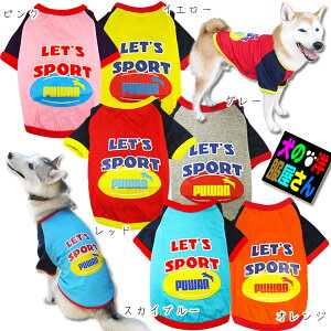  PUWAN TVc LET'S SPORTi^ Lpj LbgEFA ` gCv[h ~j`A_bNX