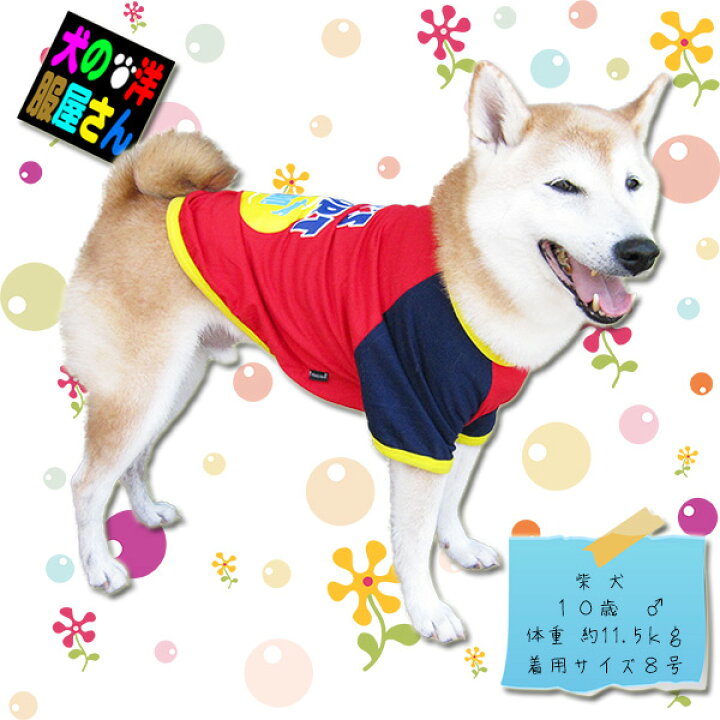 楽天市場】＼本日500円オフ+P5倍／ 犬服 PUWAN Tシャツ LET