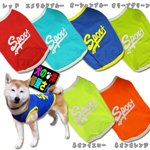  SPORT bV^Ngbv ( ^ lRp ) LbgEFA L̕ ` gCv[h ~j`A_bNX