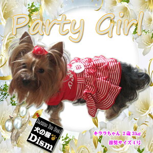 _{Gg[P2{^  PARTY GIRL s[X ( ^ Lp ) hX XJ[g LbgEFA