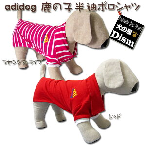 _{500~It+P4{^  ̎q|Vc ( ^ ^p ) `[ gCv[h _bNXth