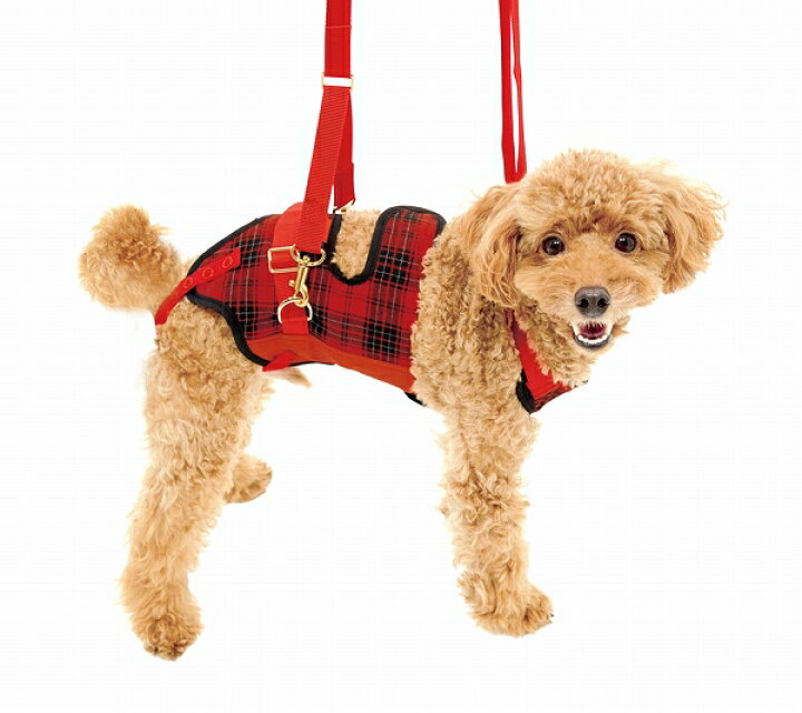 楽天市場】【本日500円引き+ポイント3倍】 小型犬 ダックス用 介護用 