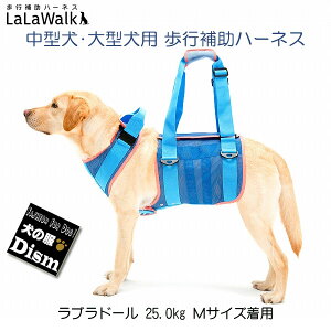 ^ ^p s⏕n[lX EH[N N[bV LaLaWalk pn[lX pi g{ with  Č uh[go[ S[fgo[