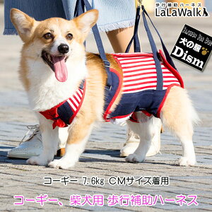 _X[p[SALE!{P4{^ s⏕n[lX LaLaWalk ^ R[M[ Čp Z[[} / EH[N pn[lX pi g{ with