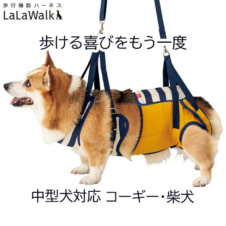 楽天市場】犬 介護 ハーネス 歩行補助ハーネス 中型犬用 LaLaWalk ララ 
