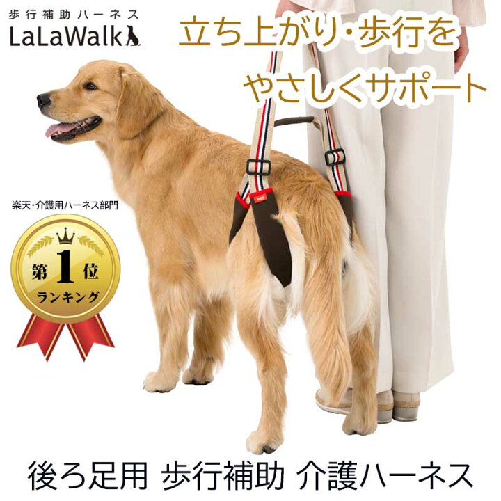 楽天市場】＼本日限定P5倍+1000円オフ／ 犬 介護ハーネス 後ろ足 歩行 