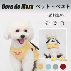 y20%OFF24Hz   hbOEFA N xXg ybg ̕ ^ ~ H~ ~ ybg CG[ u[ O[ bh p gCv[h `  H H tH 