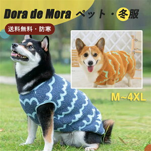 y20%OFF24Hz ~ ʂӂ    XgCv N ^ ybg hbOEFA U i xXg uE u[ g[i[ ̕ gCv[h `