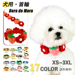 【10%OFF★期間限定】犬 首輪 ドッグカラー 可愛い 犬用 Dog トイプードル ペットグッズ 犬用装飾 ペット用アクセサリー 小型犬 ペット ストロベリーデザイン 小型犬用品 チワワ おしゃれ か