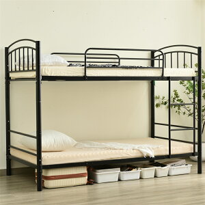 yȂZ15%OFF IzyVzOixbh`[ ϐk xbh VO \ pCvxbh pCv   ͂ Ɩp Ј w