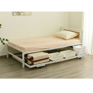 y24 Ԍ  15%OFFzyVzxbh ixbh pCvxbh VOxbh fBxbh ixbh VO xbh xbht[ GLXgxbh pCv [ k 