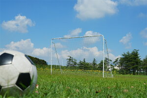 【24H限定★15%OFF】フットサルゴール 3m×2m 公式サイズ 組み立て式 キャリーバッグ付 室内 屋外兼用 練習用ネット サッカーゴール フットサル ゴール サッカー ミニサッカー トレーニング