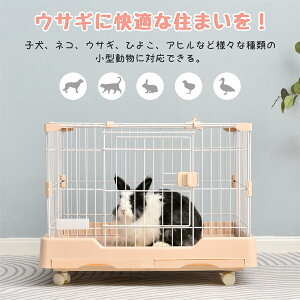 yȂZ15%OFF IzETM P[W ^ ybgP[W nX^[P[W P[W LX^[t V P[W  lR  gȒP [P[W p ET